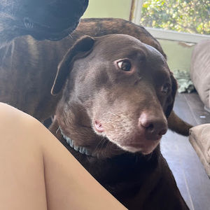 Meet your Posher, Liv